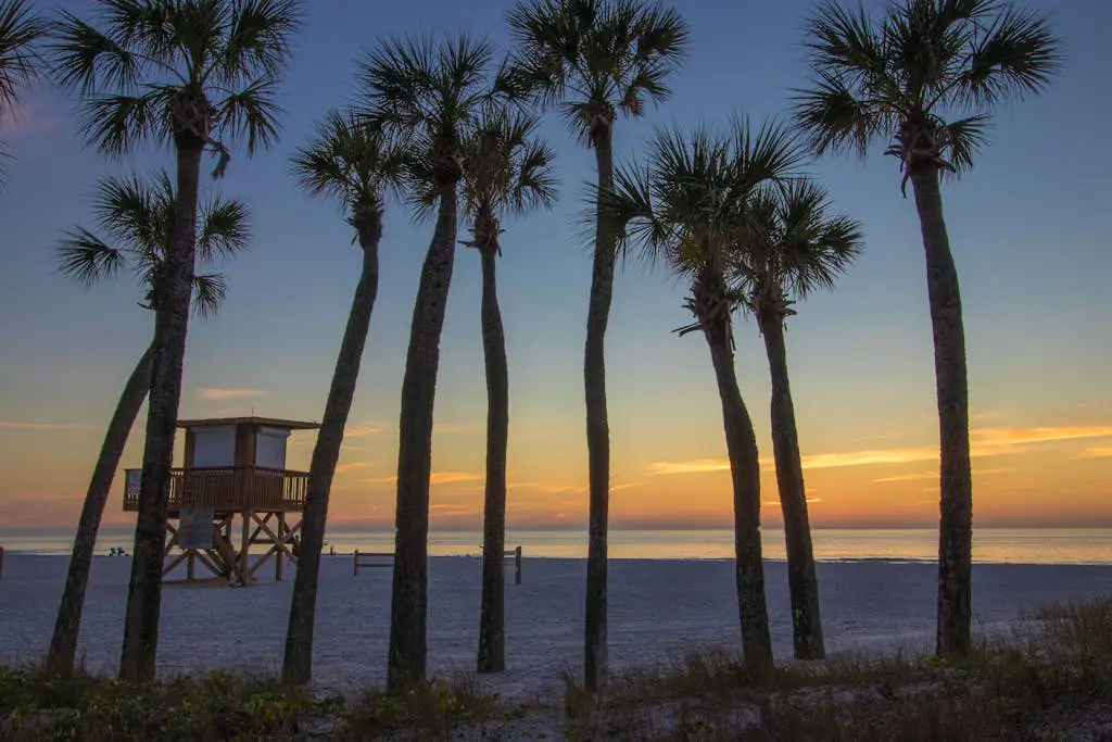 Sunset Terrace 206