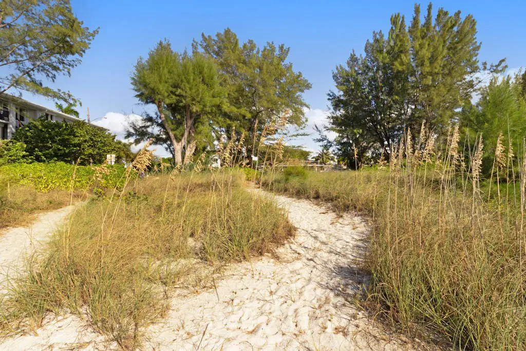 Playa Casanas North