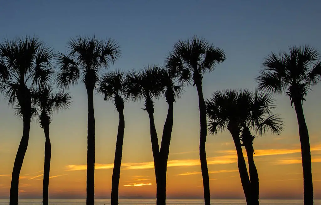 Anna Maria Island Club Unit 17S