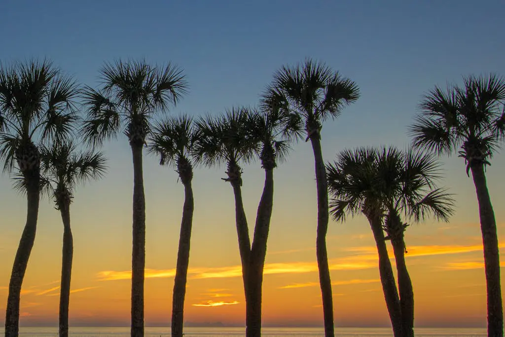 Bay View Inn 202
