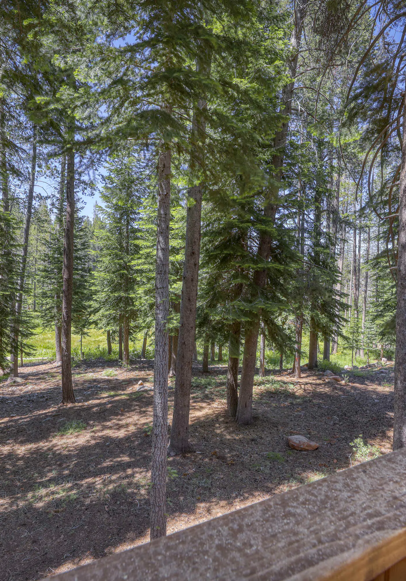Woodland Truckee Retreat