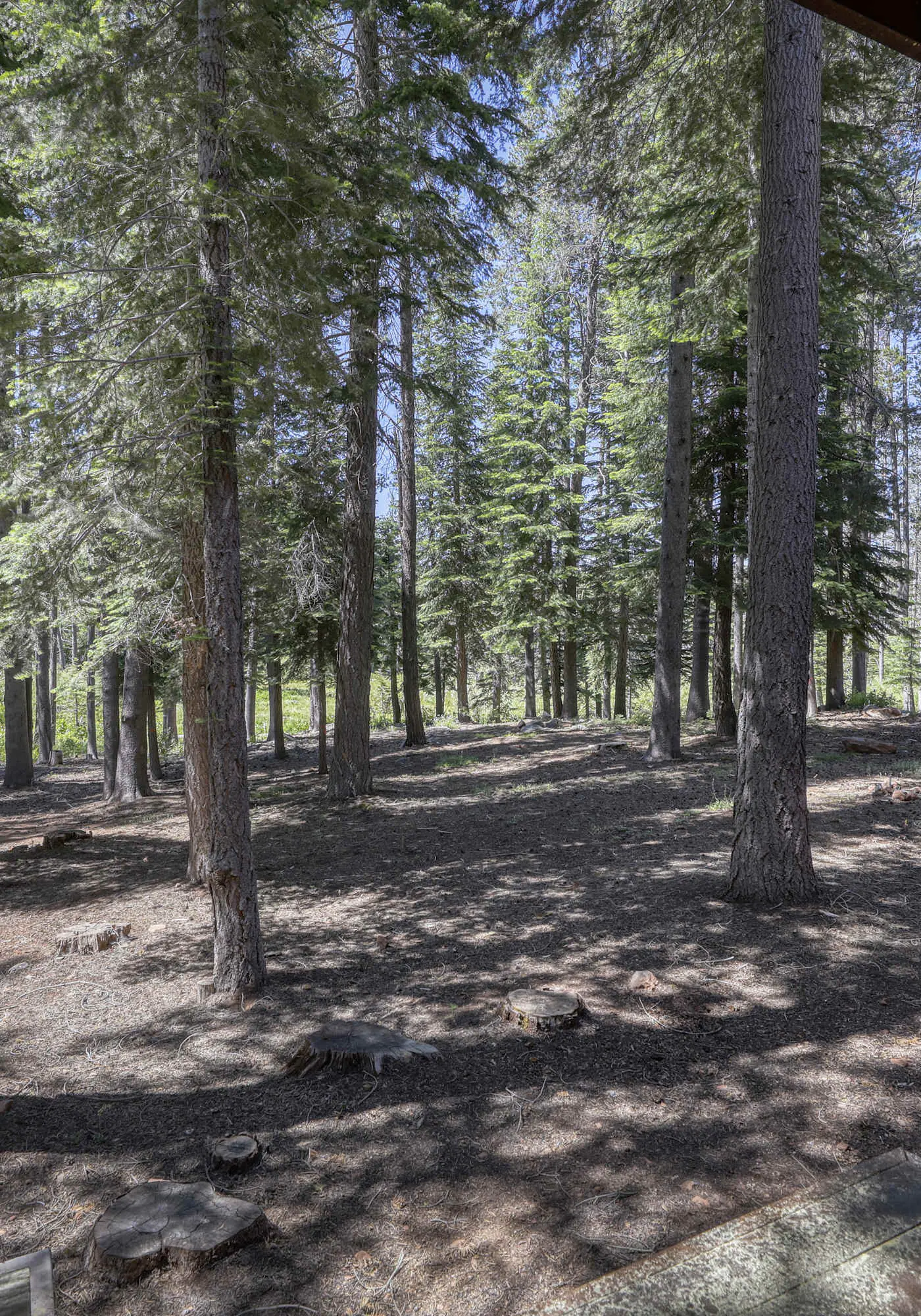 Woodland Truckee Retreat
