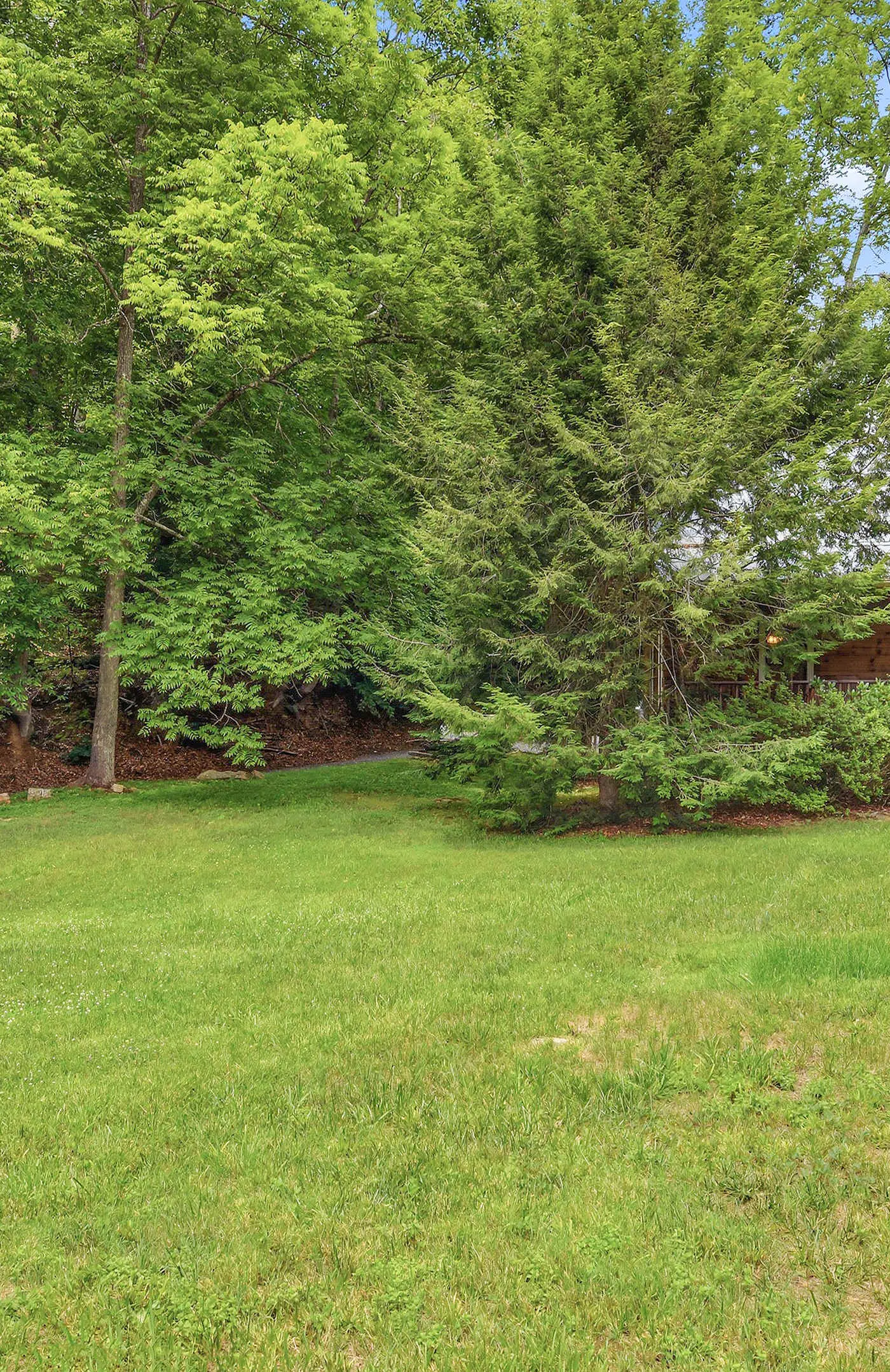 Creekfront Cottage, scenic views, dog-friendly, firepit, gas grill, gas fireplace