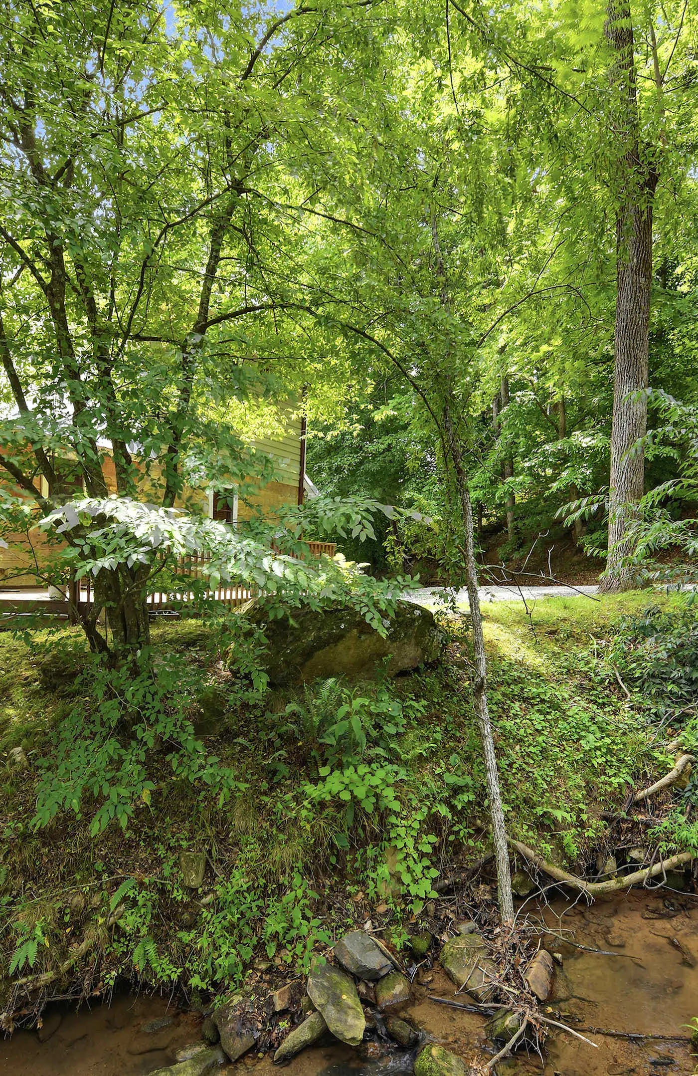 Creekfront Cottage, scenic views, dog-friendly, firepit, gas grill, gas fireplace