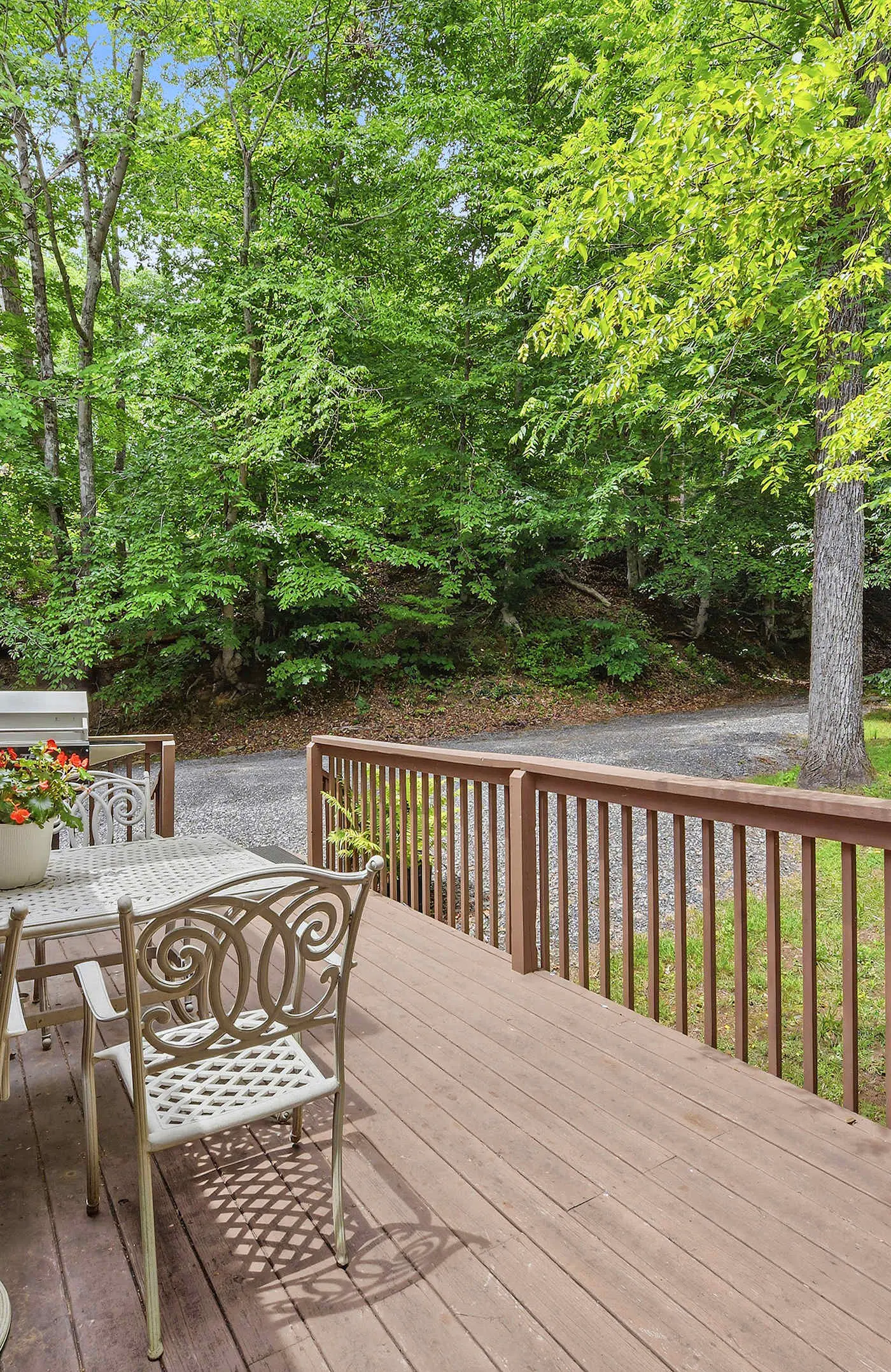 Creekfront Cottage, scenic views, dog-friendly, firepit, gas grill, gas fireplace