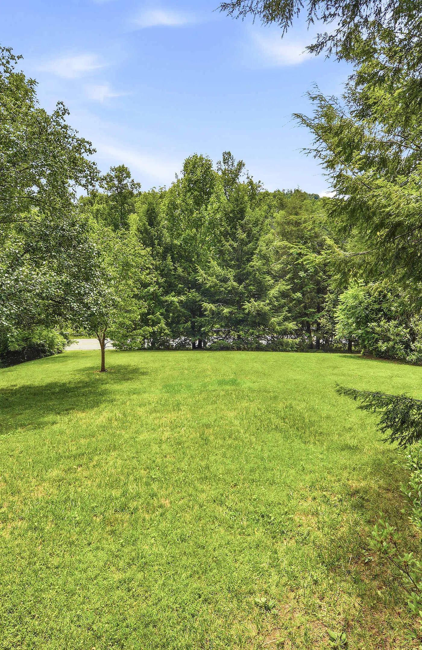 Creekfront Cottage, scenic views, dog-friendly, firepit, gas grill, gas fireplace