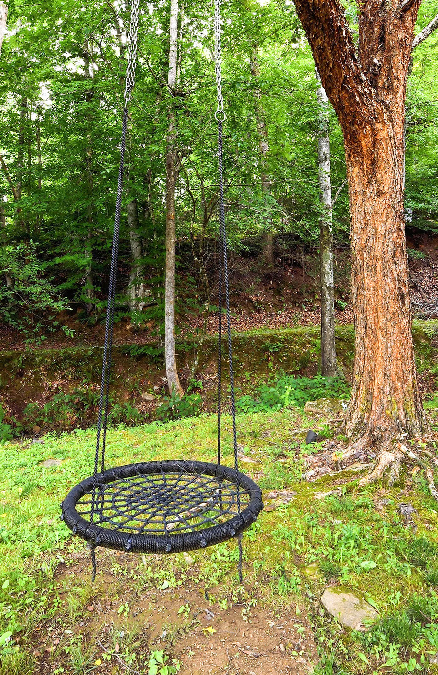 Luxury Farmhouse & Creekside Cottage, Dog-friendly, Scenic Views, Firepit, BBQ