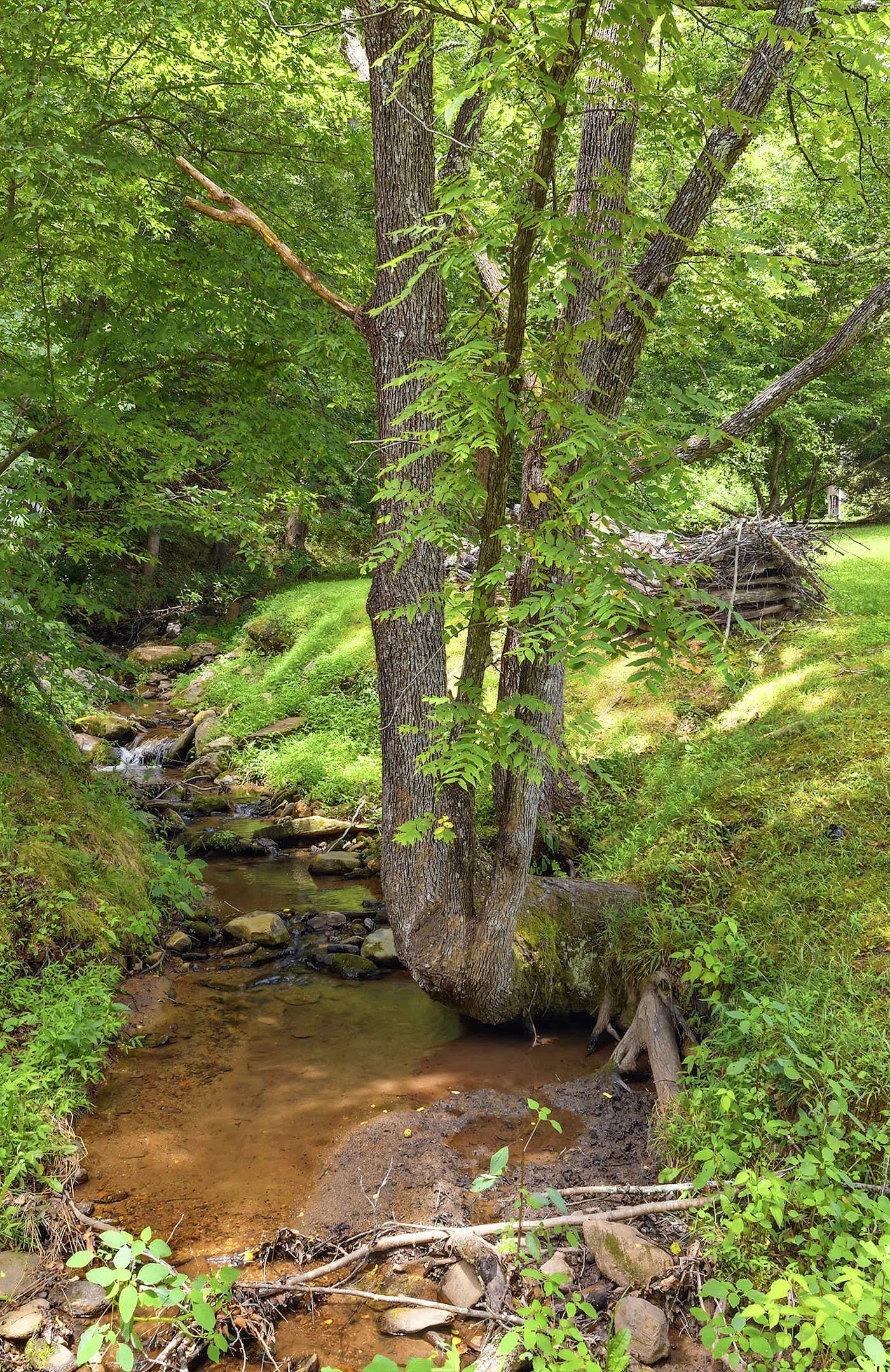 Luxury Farmhouse & Creekside Cottage, Dog-friendly, Scenic Views, Firepit, BBQ