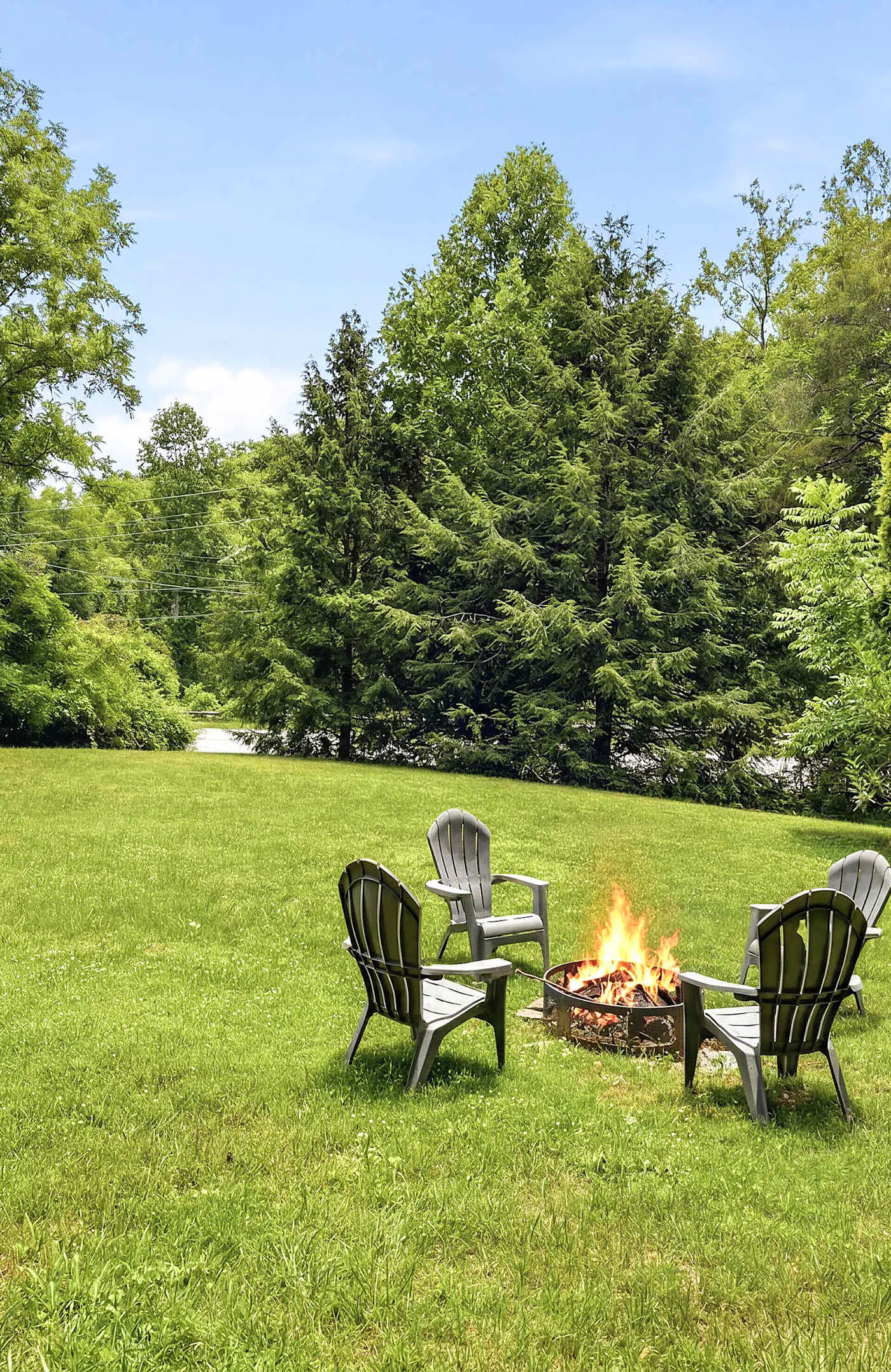 Luxury Farmhouse & Creekside Cottage, Dog-friendly, Scenic Views, Firepit, BBQ