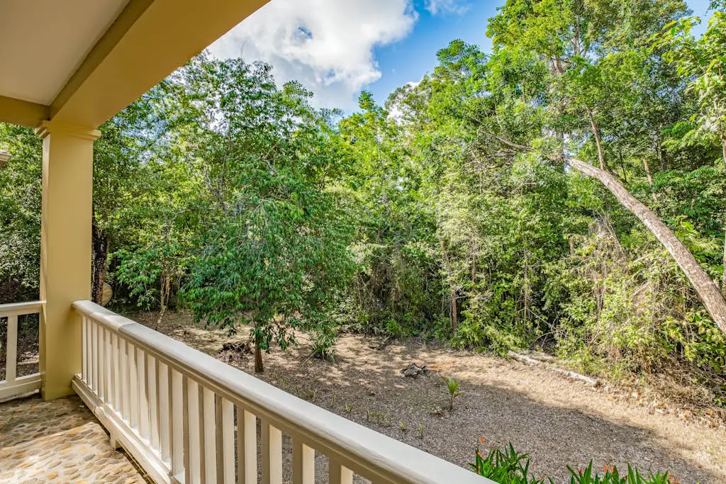 Treehouse at Sanctuary Belize