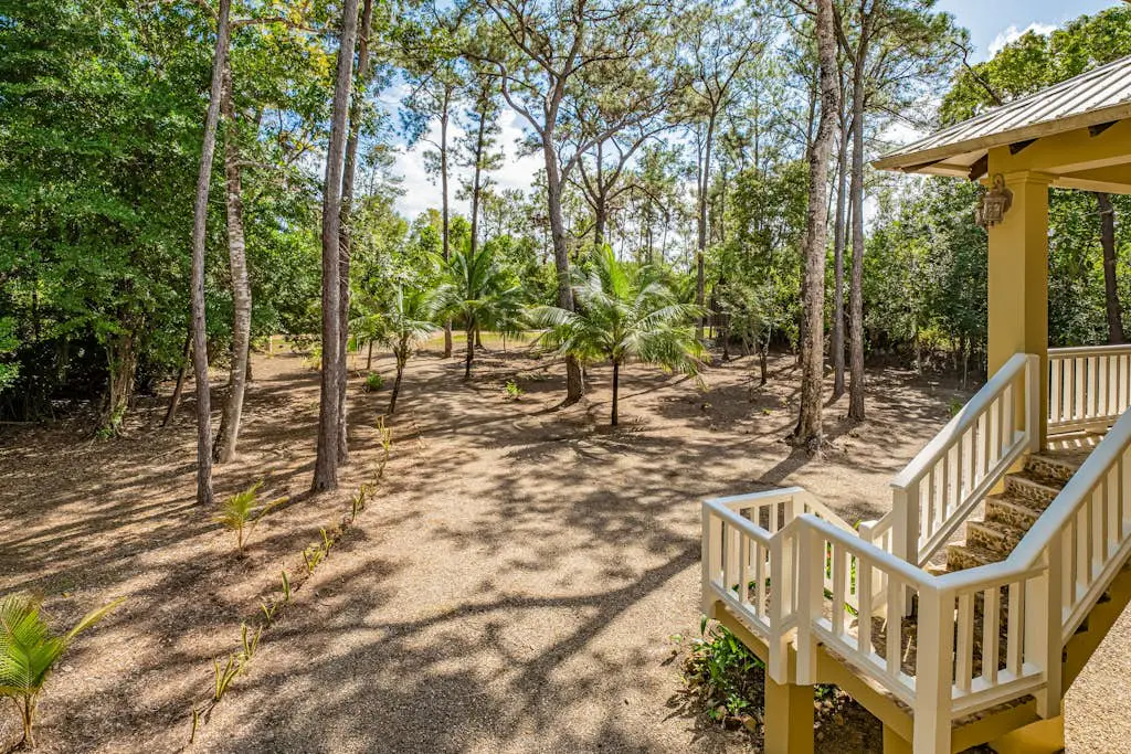 Treehouse at Sanctuary Belize