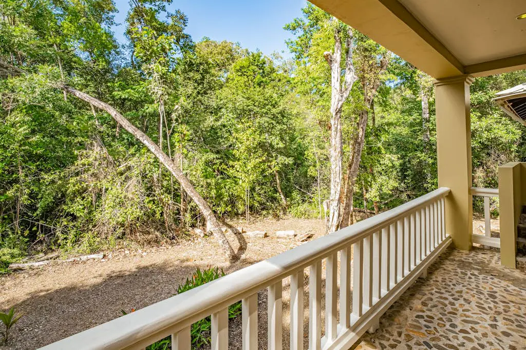 Treehouse at Sanctuary Belize