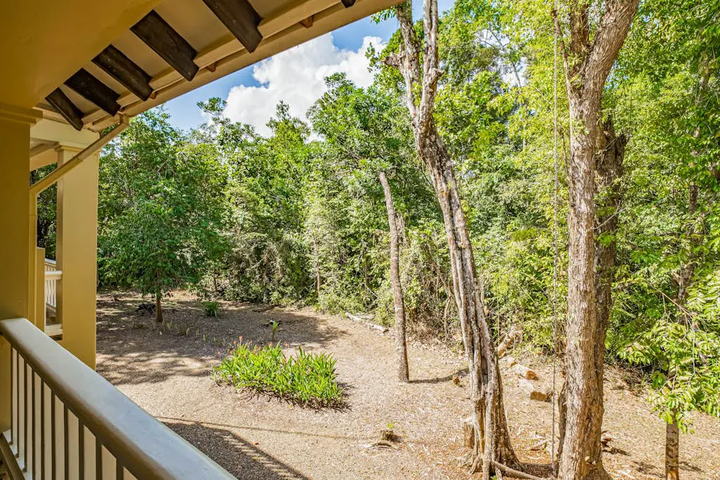 Treehouse at Sanctuary Belize