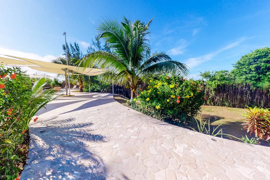 Turtle Studio Retreat at Swan Villas  -Gold Standard Certified