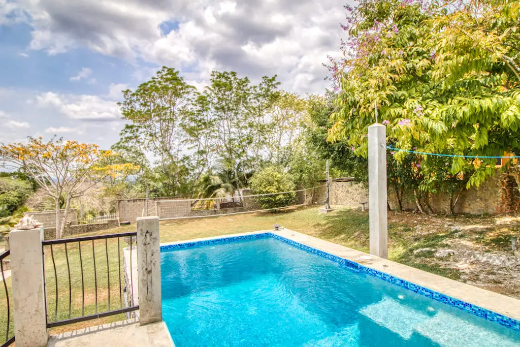 D Borland View Gold Standard Certified