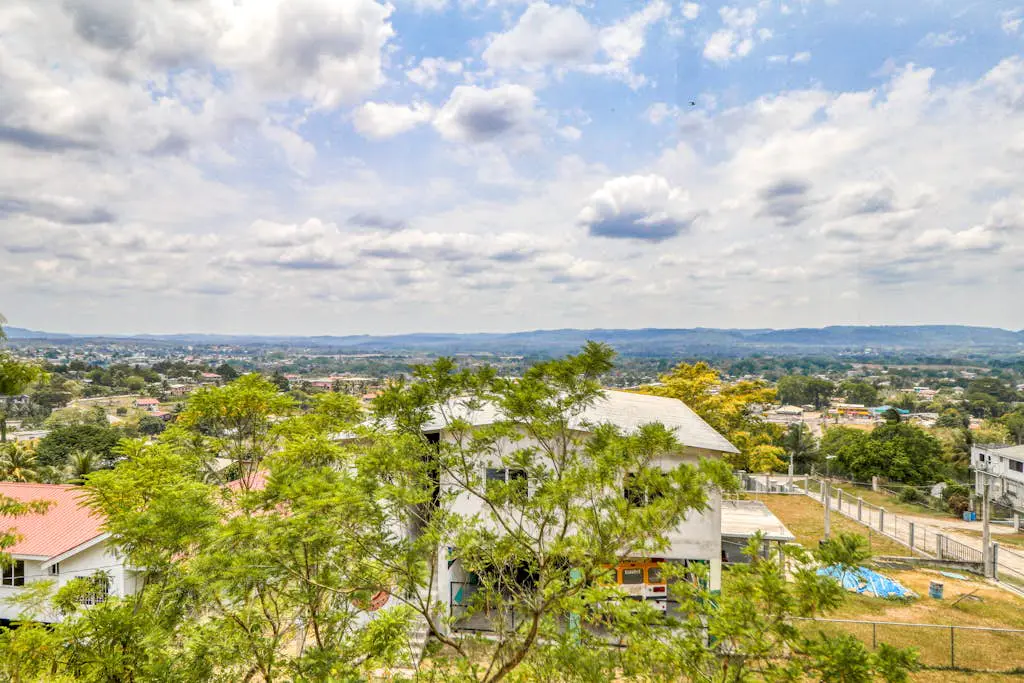 D Borland View Gold Standard Certified