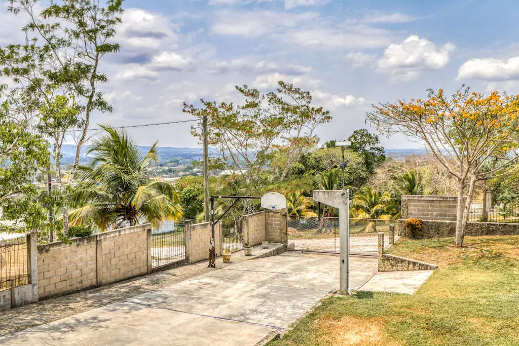 D Borland View Gold Standard Certified