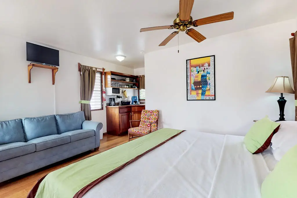 Green Iguana at Latitude Adjustment -Gold Standard Certified