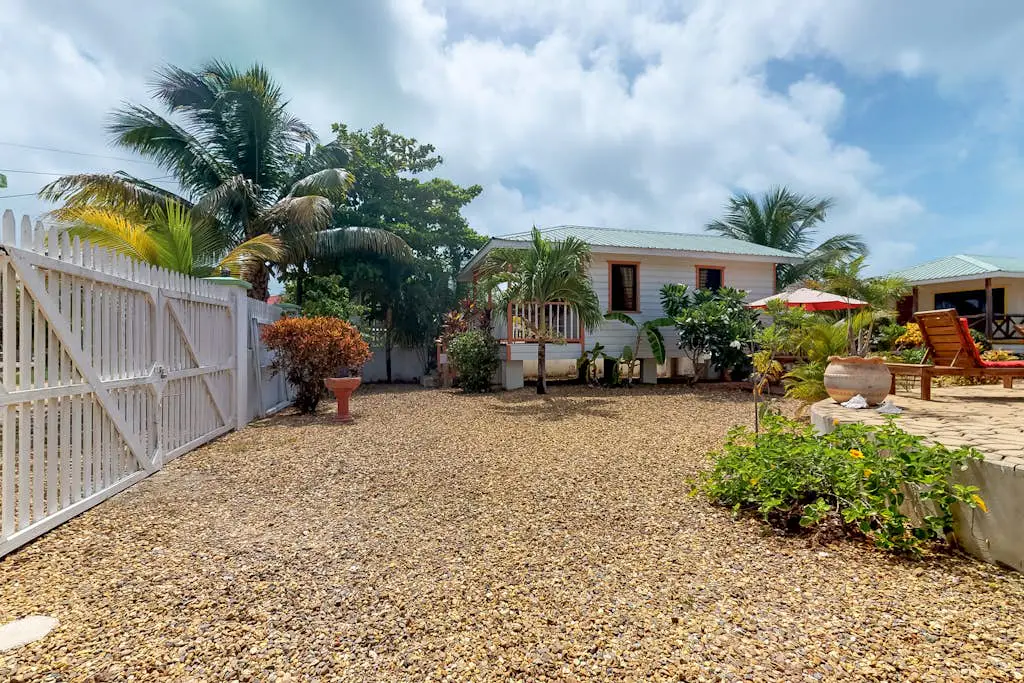 Green Iguana at Latitude Adjustment -Gold Standard Certified
