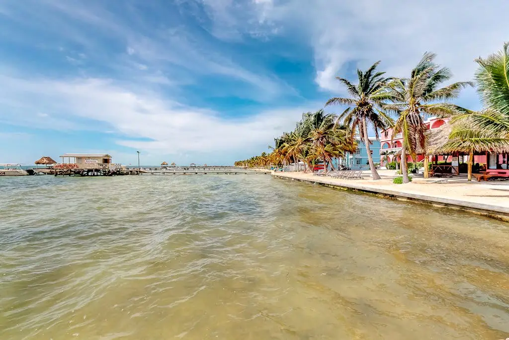Palm #12 at Caribe Island Condo -Gold Standard Certified