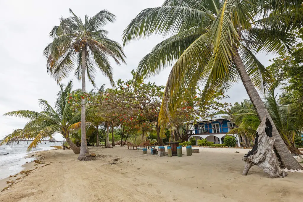 Casa Edie at Edie Beach -Gold Standard Certified