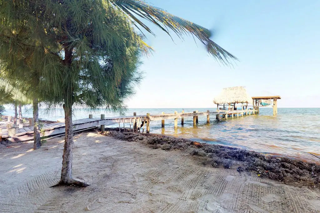 Casa Edie at Edie Beach -Gold Standard Certified