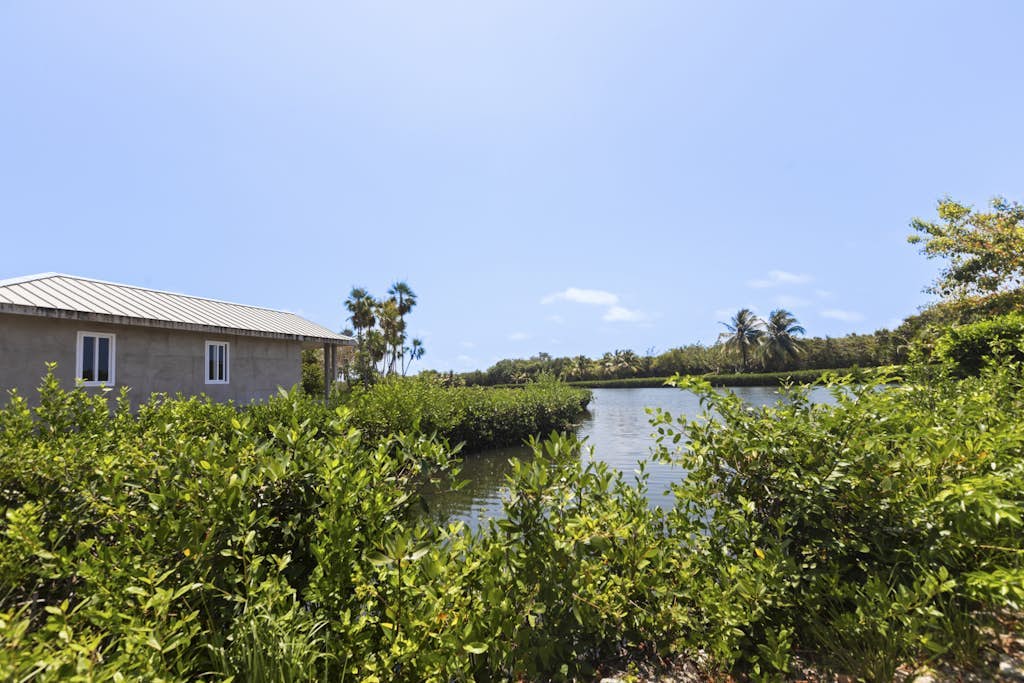 Charming lagoon front apartment with kayaks, SUPs, & nearby beach