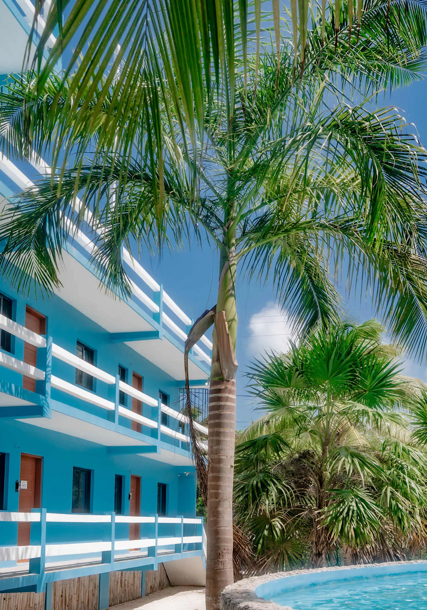 MF7 Muut Suite at Mayan Falls -Gold Standard and Safe Corridor Certified