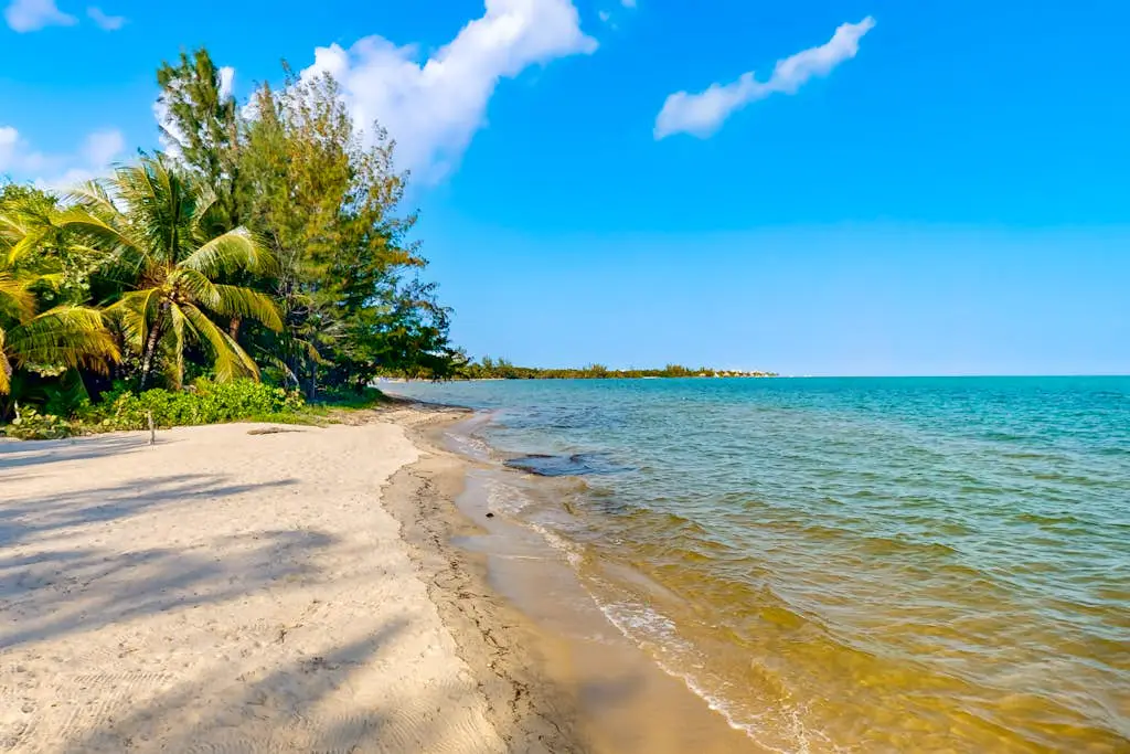 Blue Tang Beach House at Ocean’s Edge -Gold Standard Certified