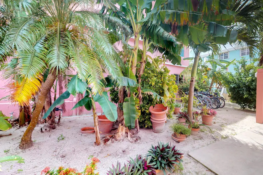 Hibiscus #1 at Caribe Island Condo -Gold Standard Certified