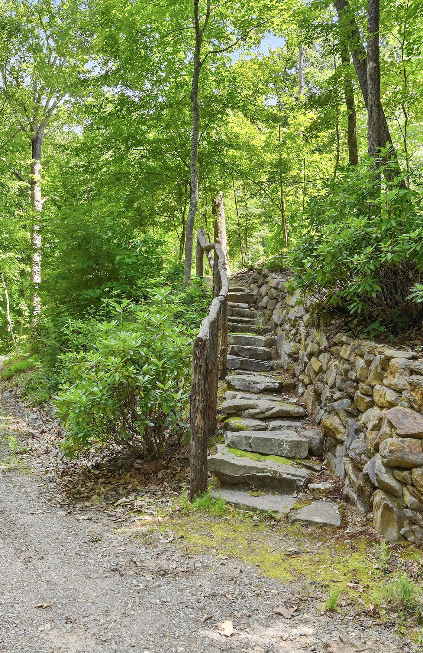 Luxury Treehouse, gas fireplace, BBQ, firepit, outdoor dining, shared creek access