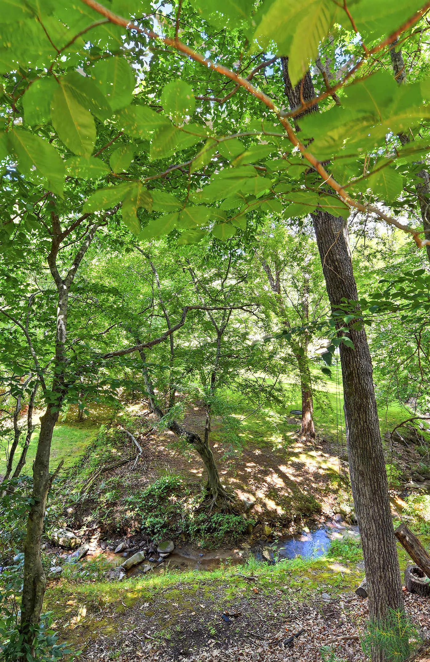 Luxury Treehouse, gas fireplace, BBQ, firepit, outdoor dining, shared creek access
