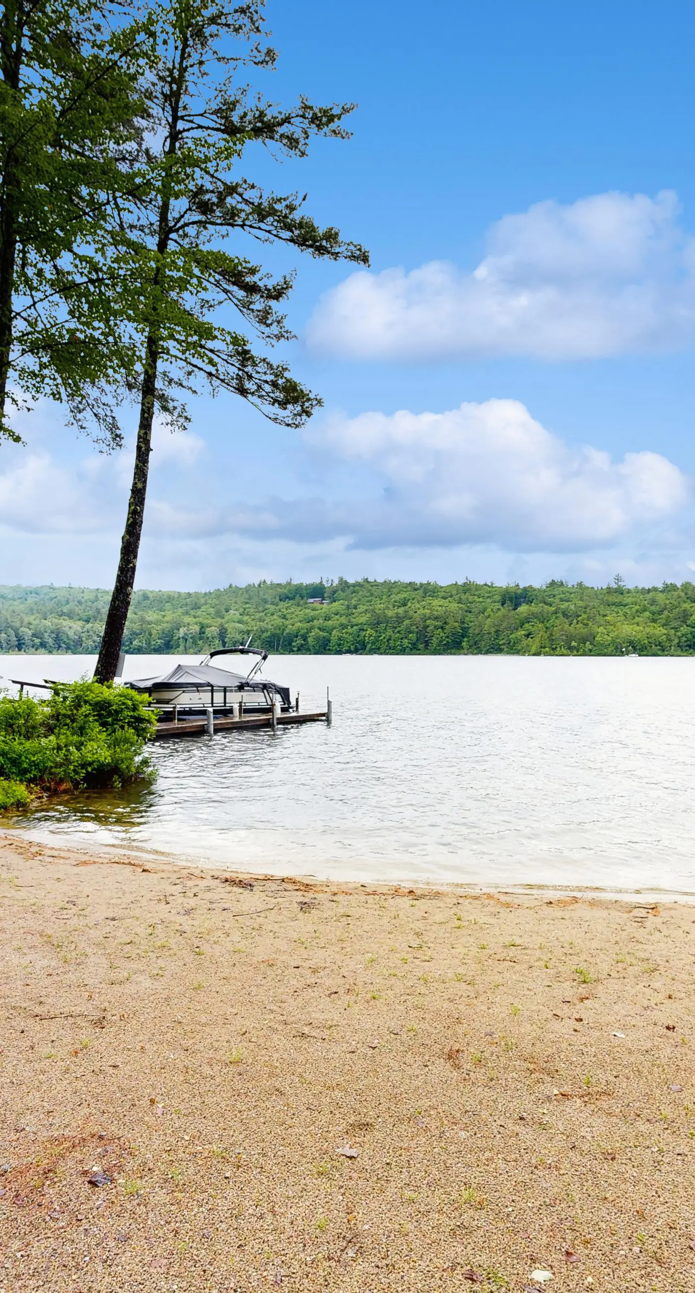 Four Seasons at the Lake