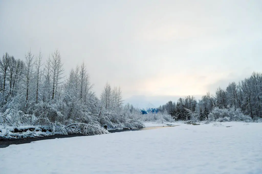 Alyeska North #400