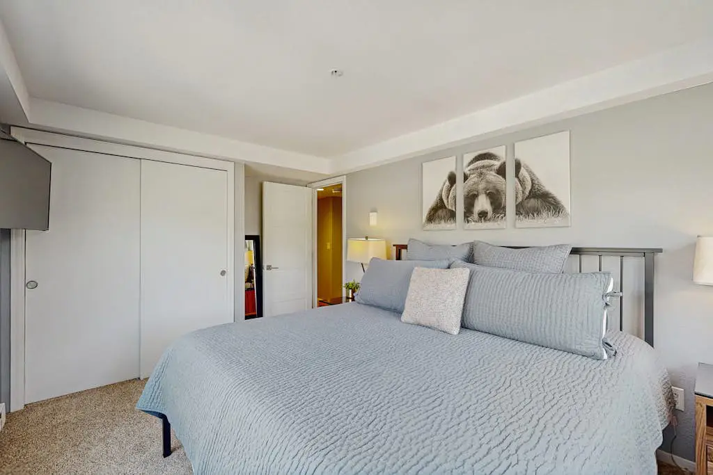 Torian Plum Plaza 308
