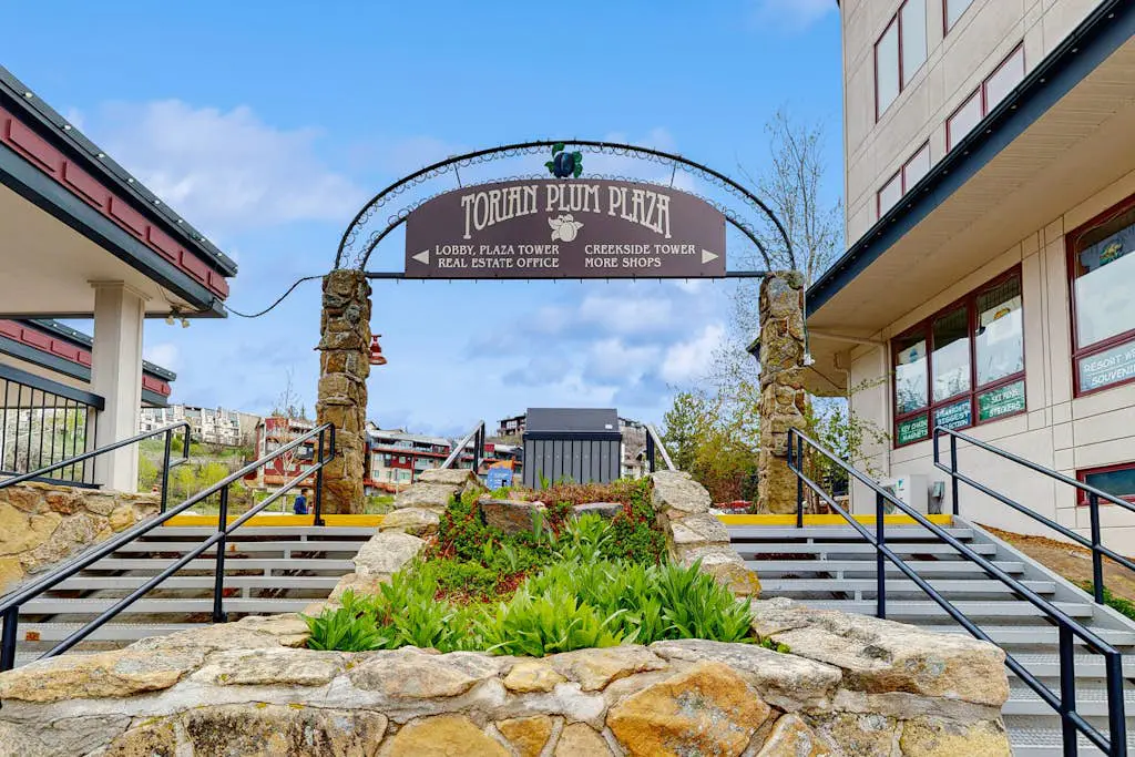 Torian Plum Plaza 308