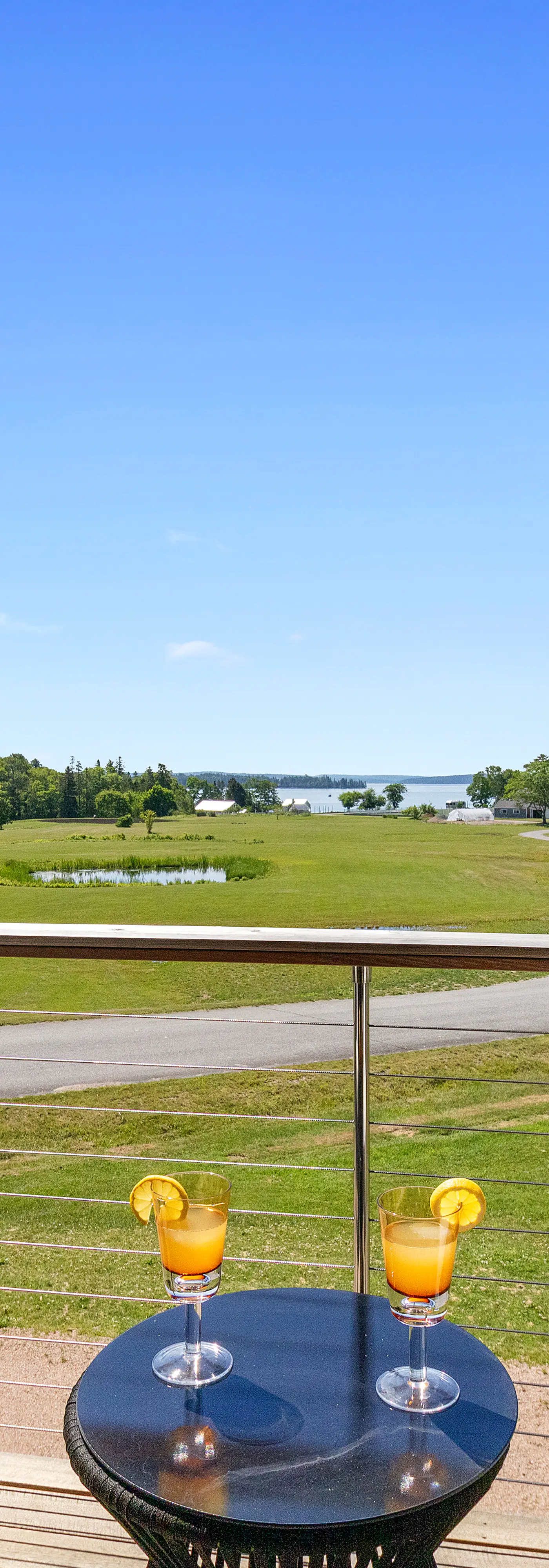 Maggie May at Salt Water Farm