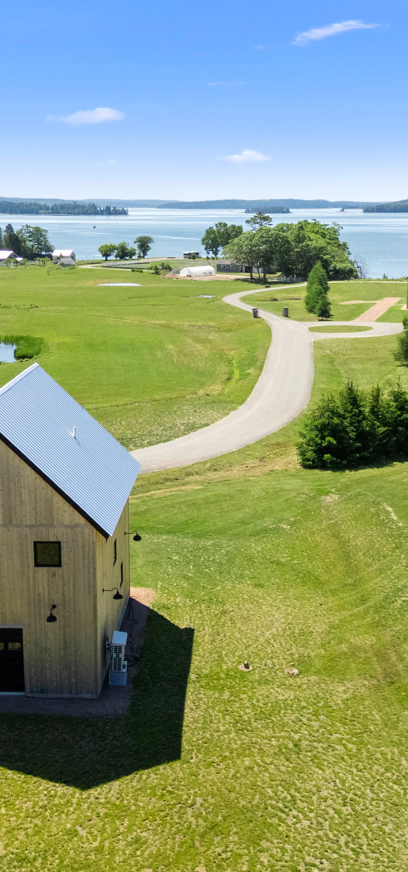 Maggie May at Salt Water Farm