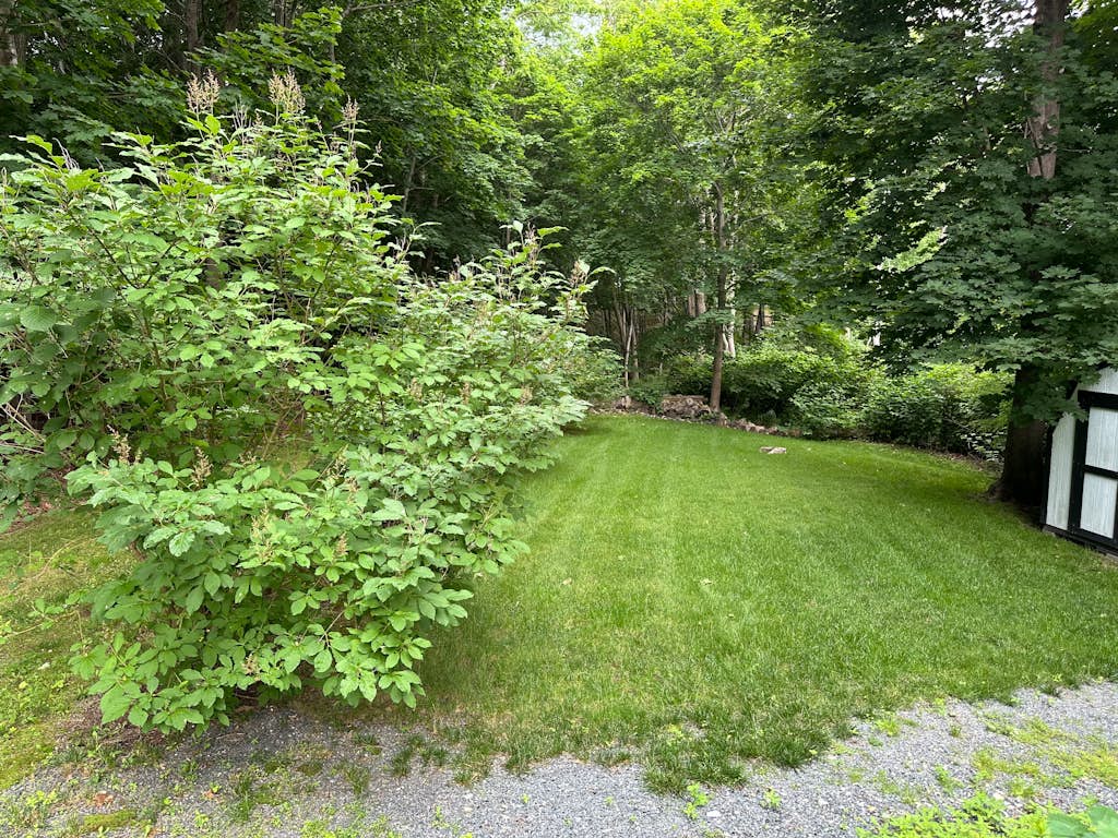 Birdsong Carriage House: Cozy 1BR near Acadia and downtown Bar Harbor