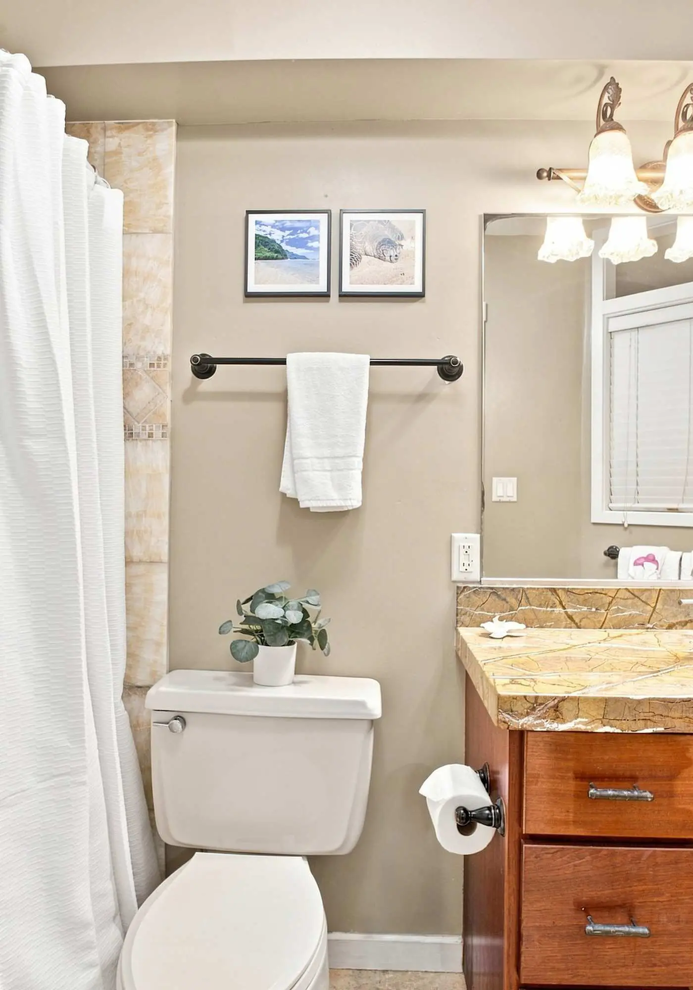Kuhio Shores 407