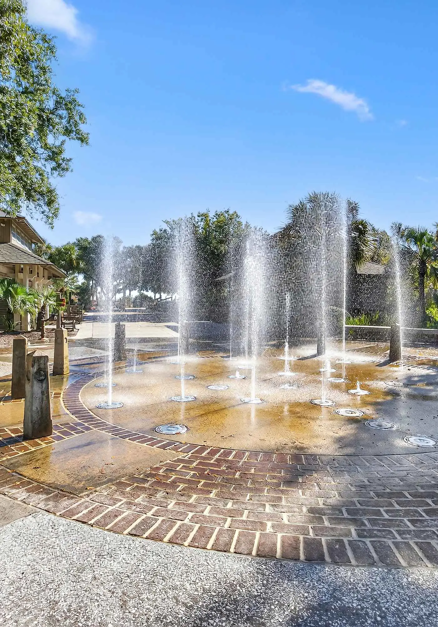 Prime Location Dream Home Outdoor Oasis & Pool