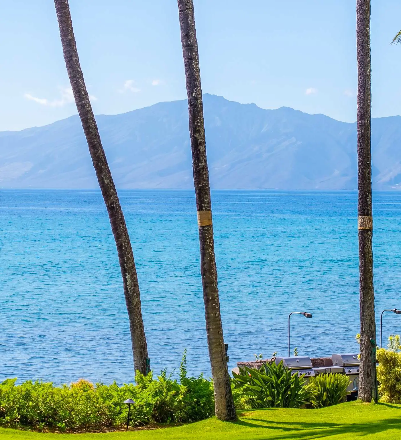Mahina Surf 123