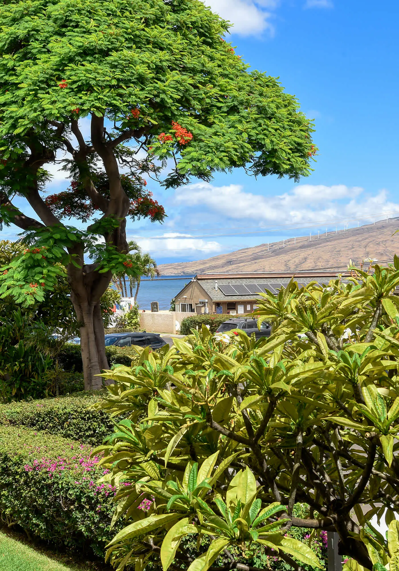 August Special! Kihei Holiday 215