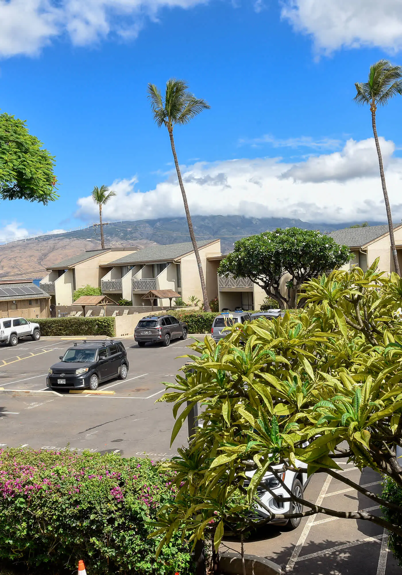 August Special! Kihei Holiday 215