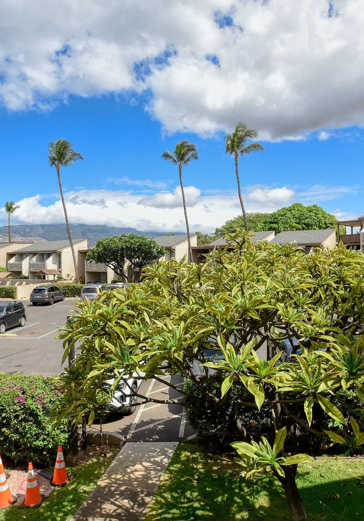 August Special! Kihei Holiday 215