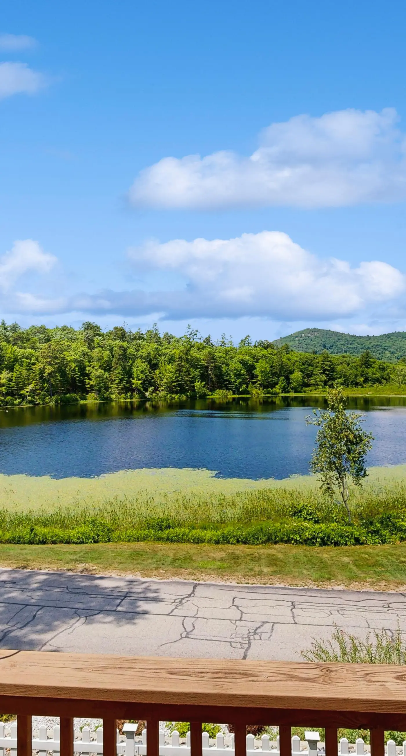 Patch Pond at Ossipee