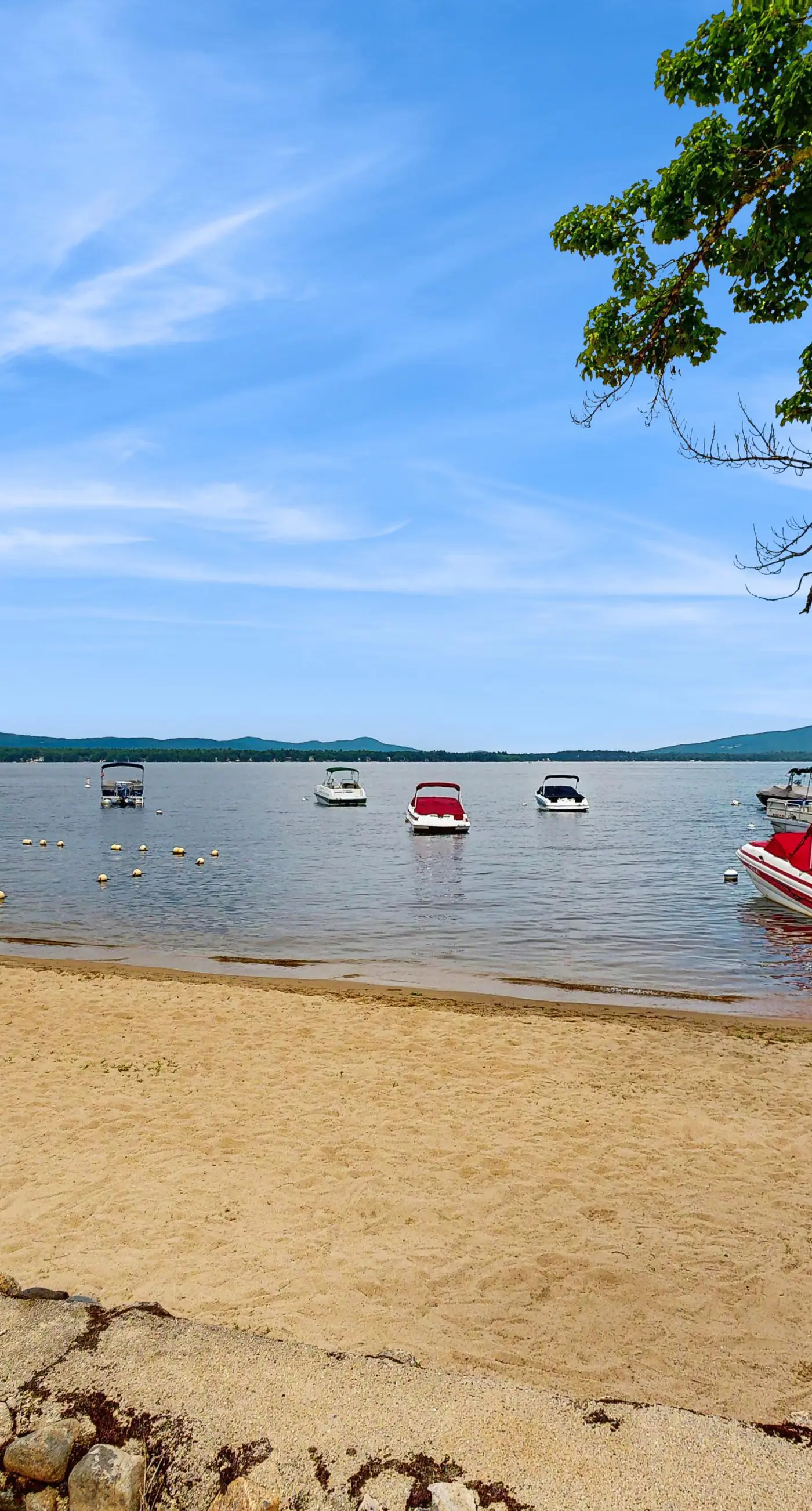 Patch Pond at Ossipee