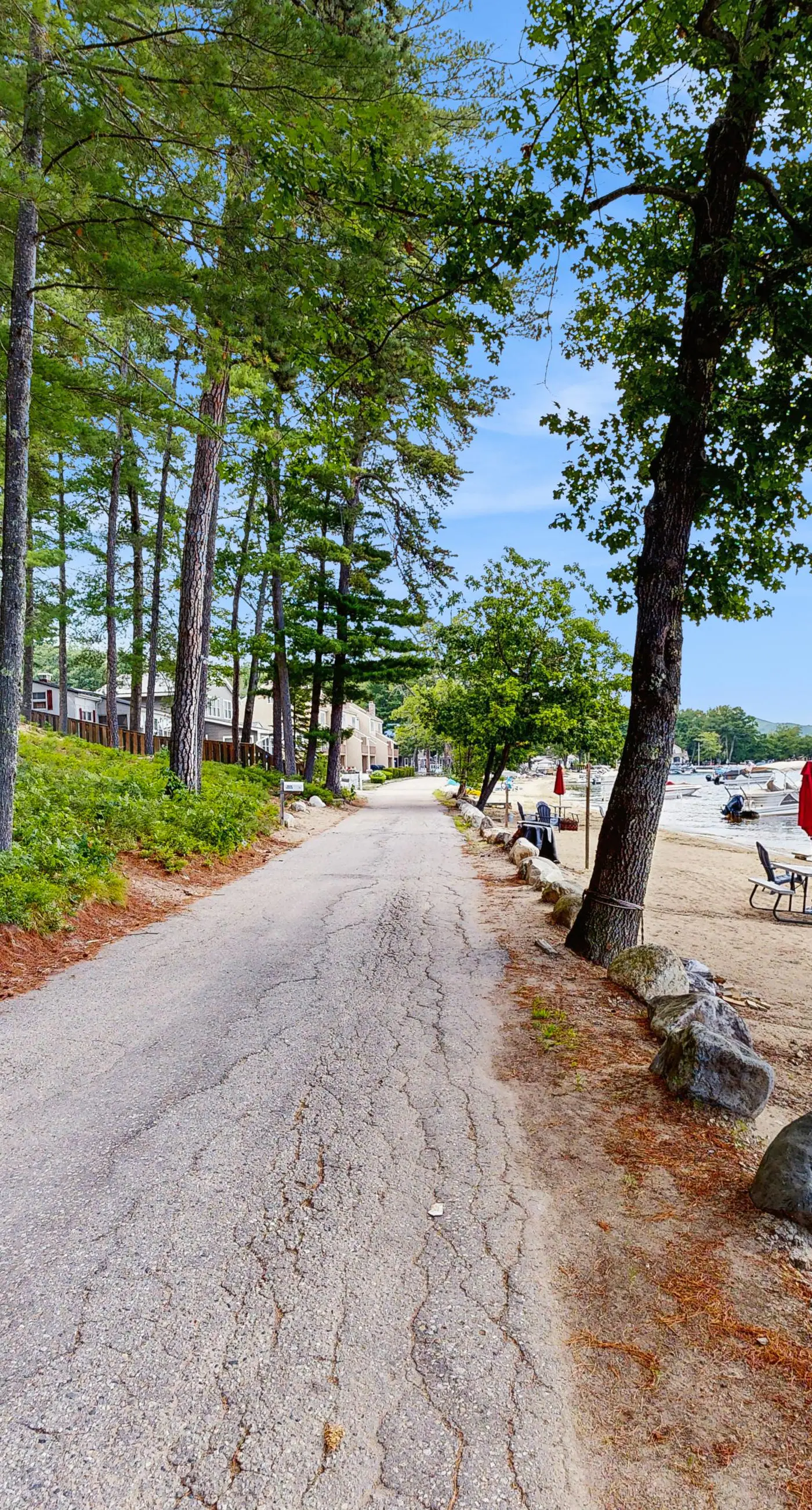 Patch Pond at Ossipee
