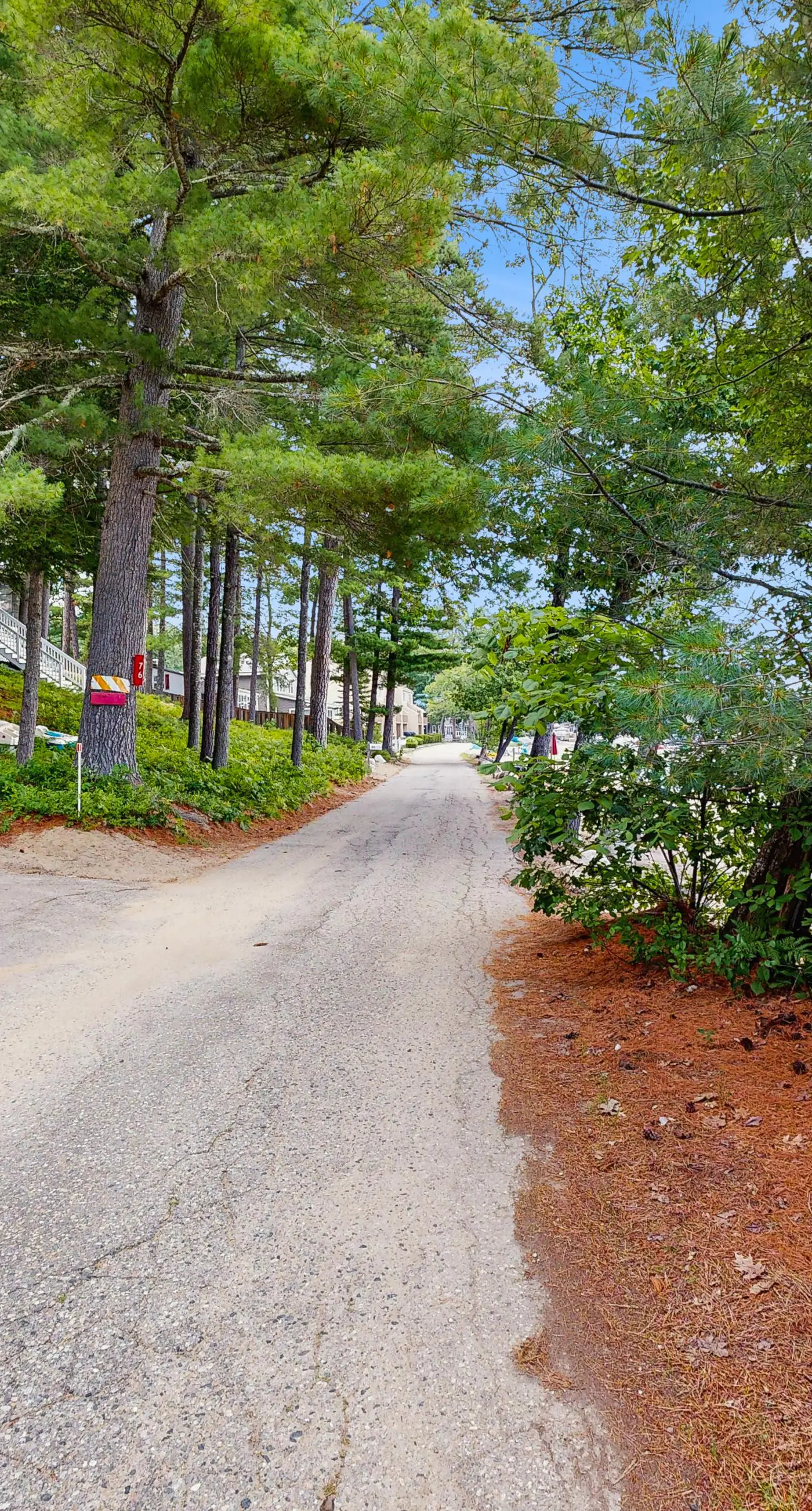 Patch Pond at Ossipee