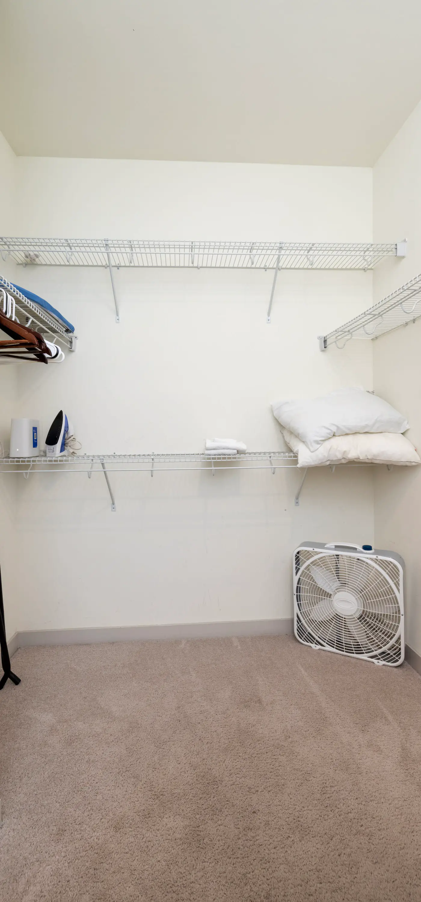 Stunning Nulu 1BR CozySuites